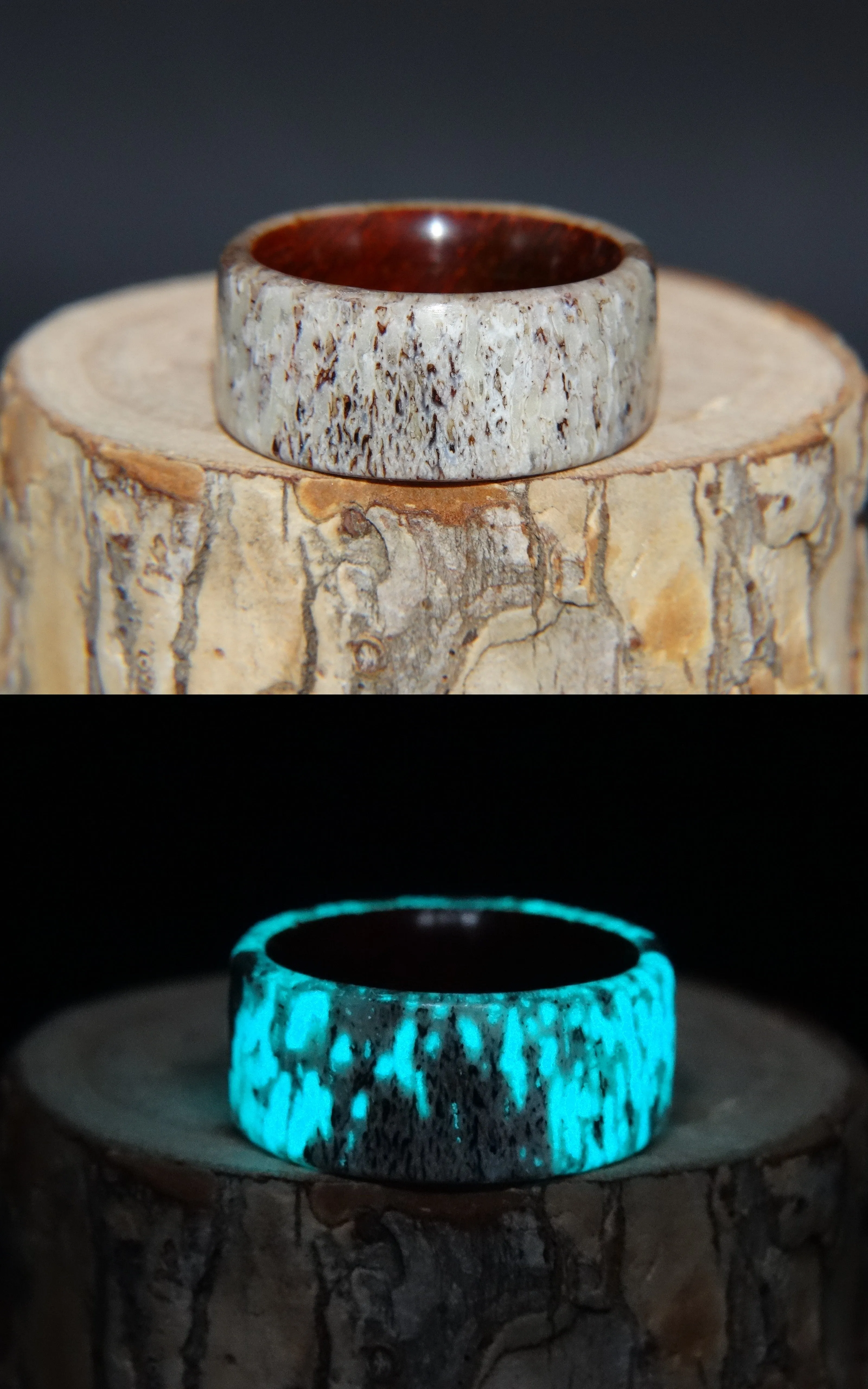 Bentwood Ring -  Aglow Deer Antler on Padauk Wood Core with Phosphorescent Stabilized