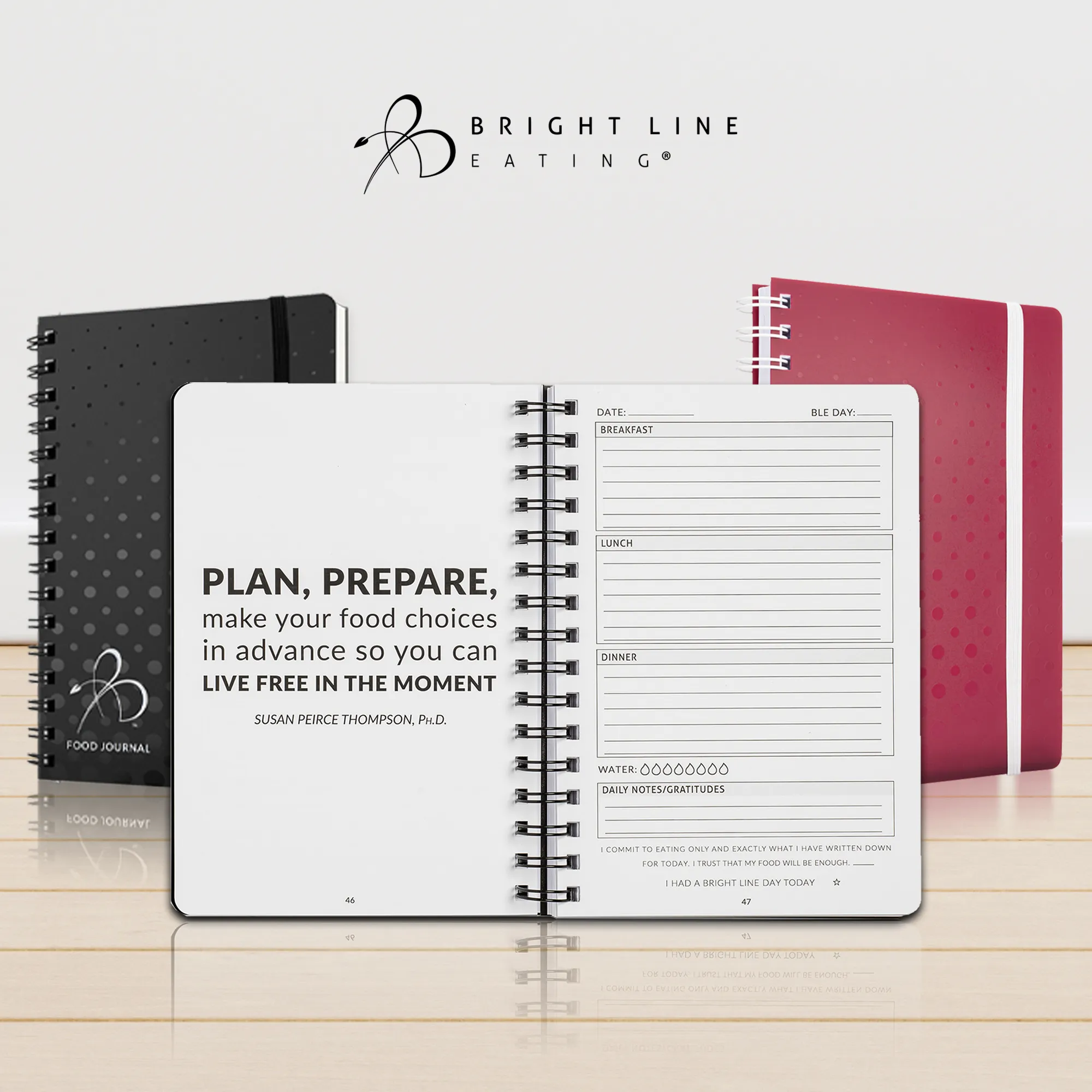 Official Food Journal 4-Pack