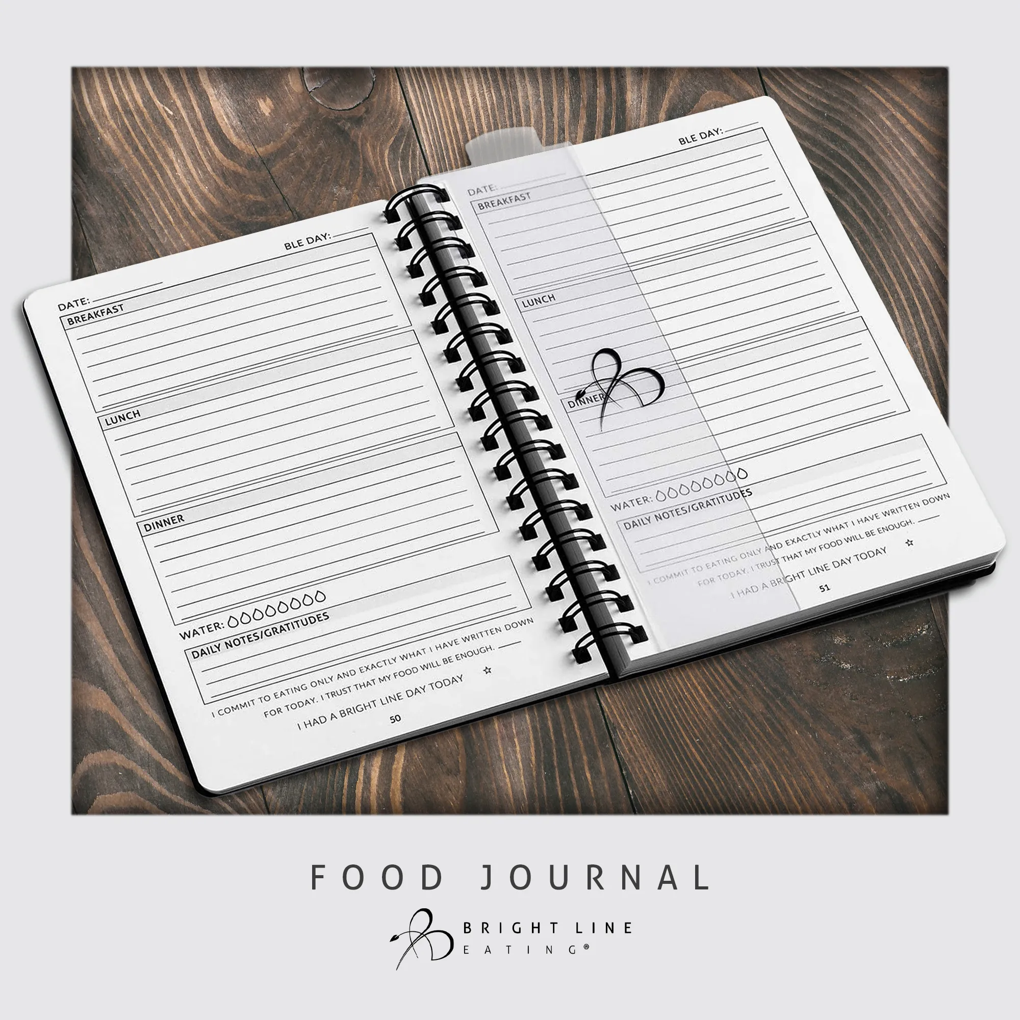 Official Food Journal 4-Pack